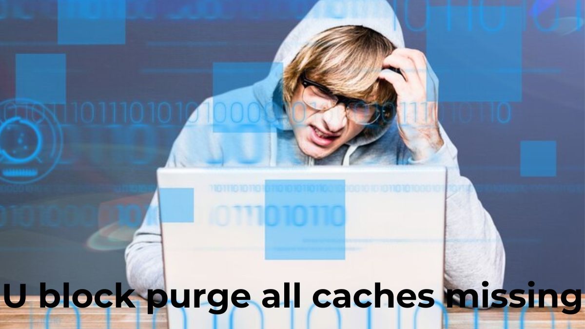 uBlock Purge All Caches Missing